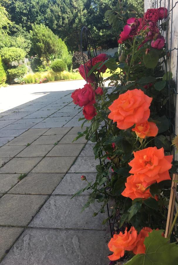 Klidné A Útulné Ubytovaní Brno Starý Lískovec Exterior foto